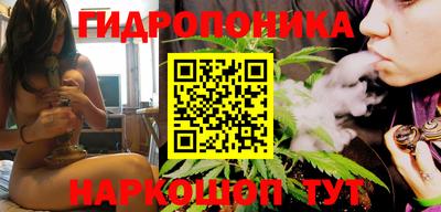 прущие крисы Обь