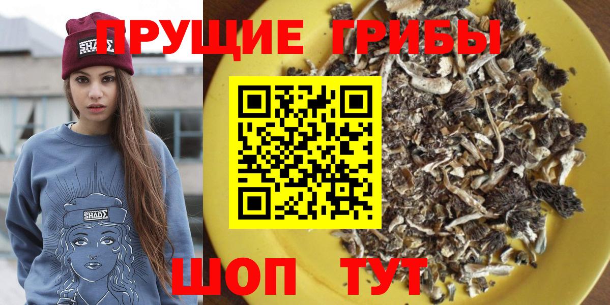 Галлюциногенные грибы Psilocybine cubensis Санкт-Петербург